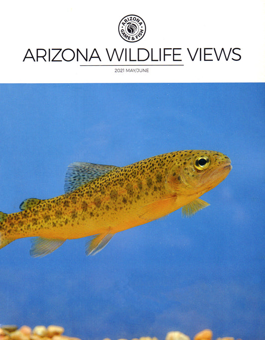 Arizona Wildlife Views
