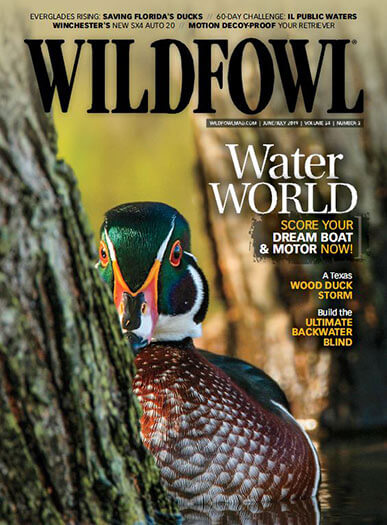 Wildfowl