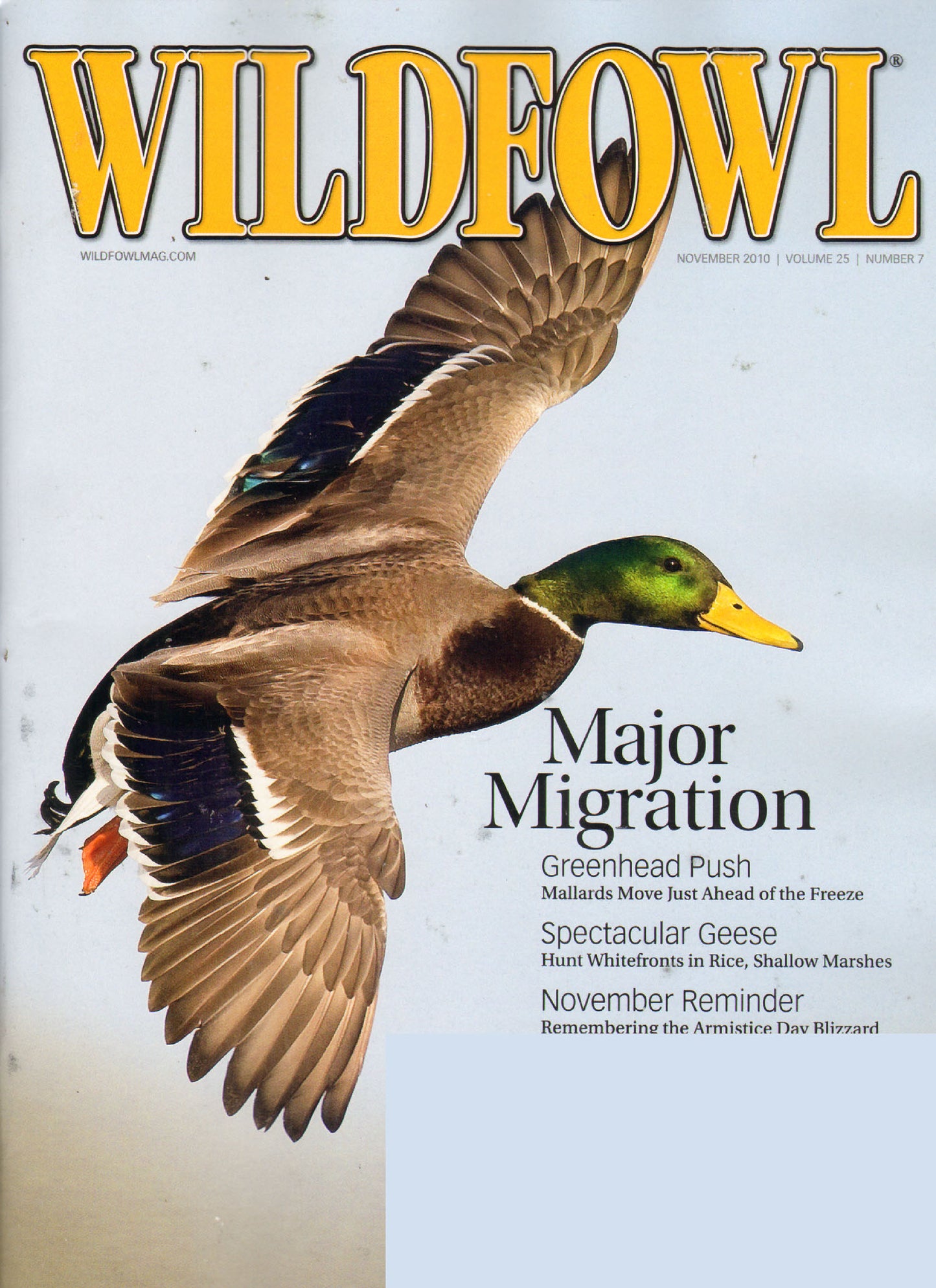 Wildfowl