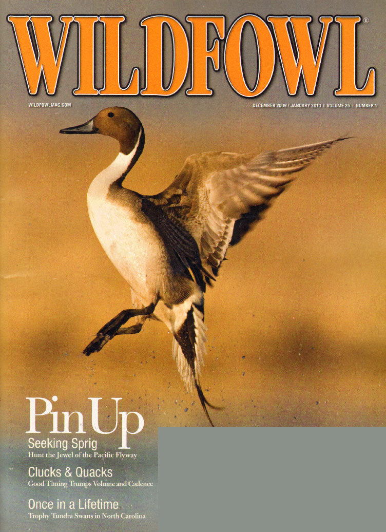 Wildfowl