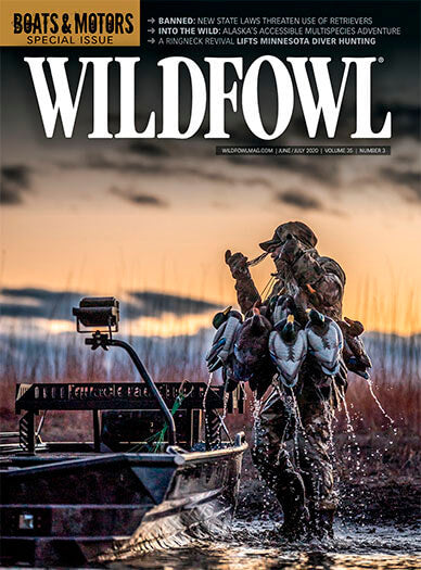 Wildfowl
