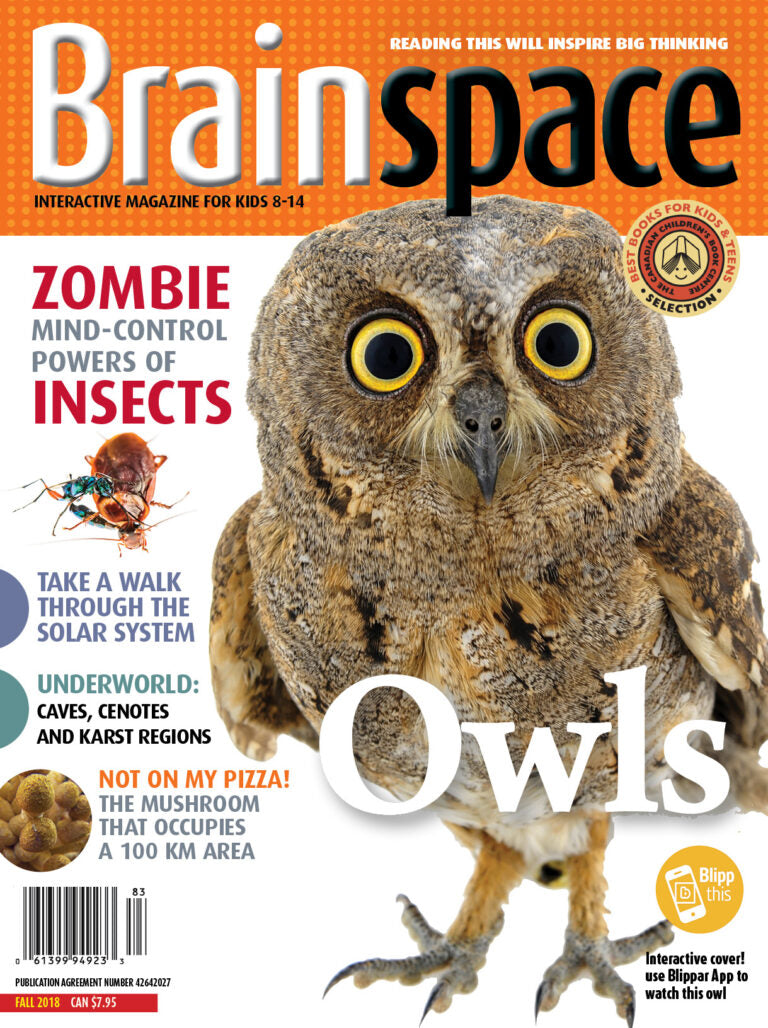 Brainspace