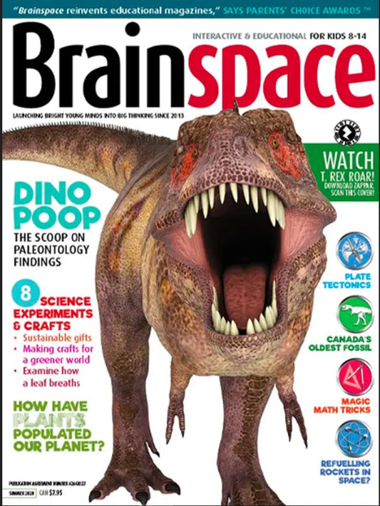 Brainspace