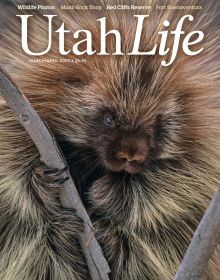 Utah Life