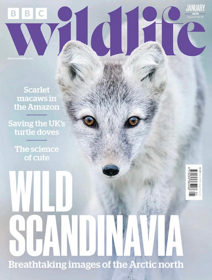 BBC Wildlife (UK)
