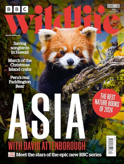 BBC Wildlife (UK)