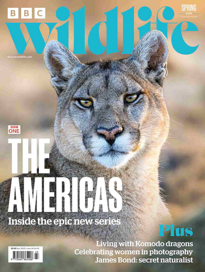 Bbec Values BBC Wildlife (UK) Magazine Subscription for $98.99 at MagazineValues ...