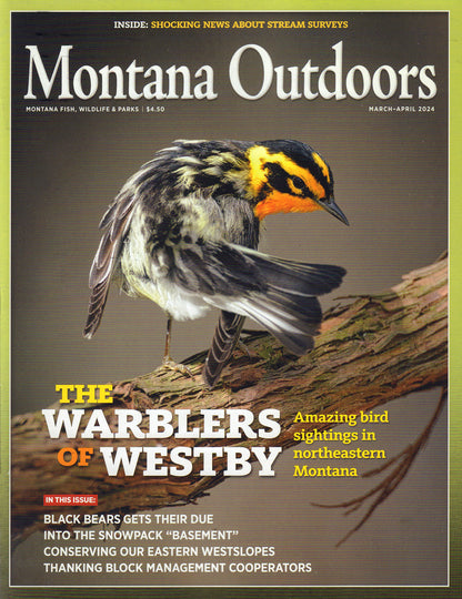 Montana Outdoors
