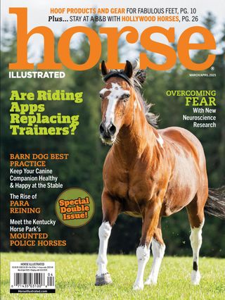 Horse Illustrated - Digital
