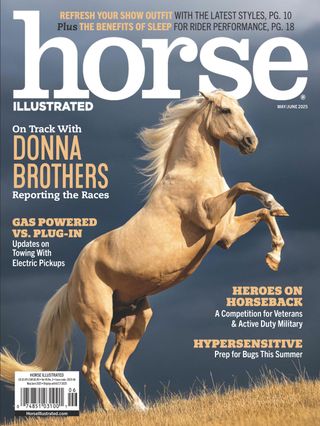 Horse Illustrated - Digital