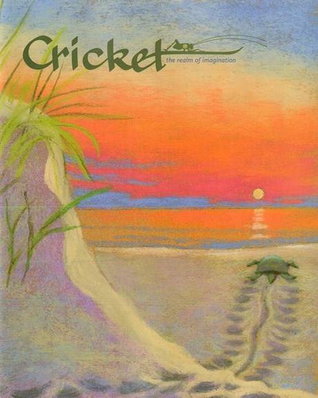 Cricket