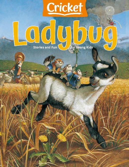 Ladybug