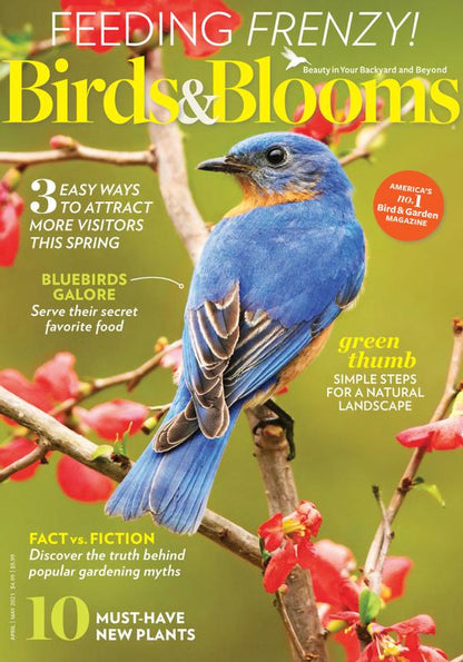 Birds & Blooms
