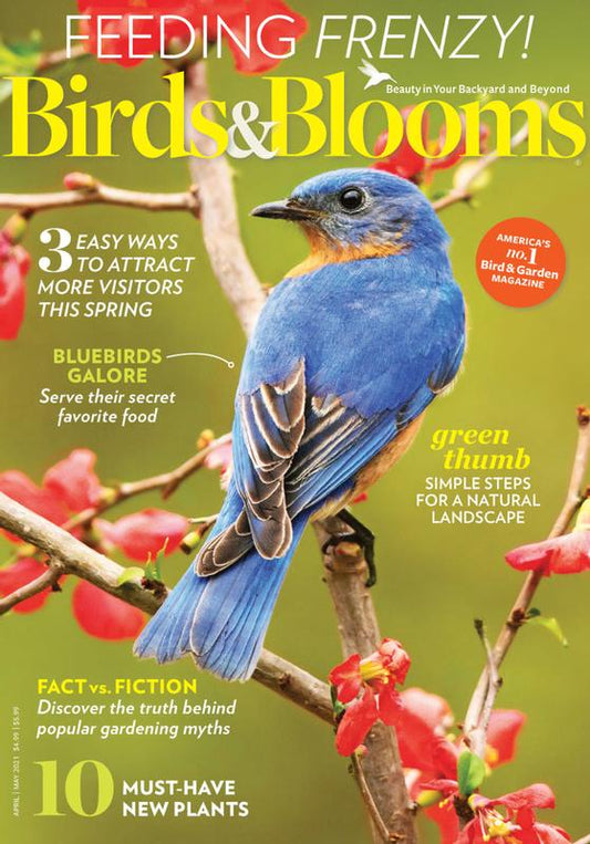Birds & Blooms